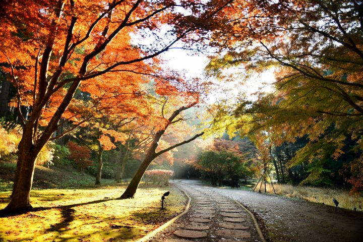  Kairakuen Garden is a feudal lord's garden that has been open to and enjoyed by the people of the domain since the Edo period (1603-1868), as the name 